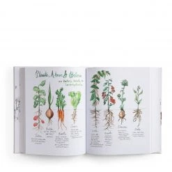 Books New Salt Fat Acid Heat