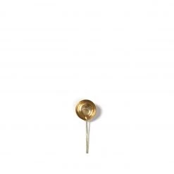 Lue Brass Coffee Scoop