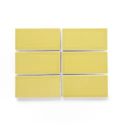 Heath Ceramics Tile G37.2 Melon Shop Tile Samples